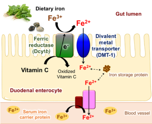 Pasted image 20250522122601.png